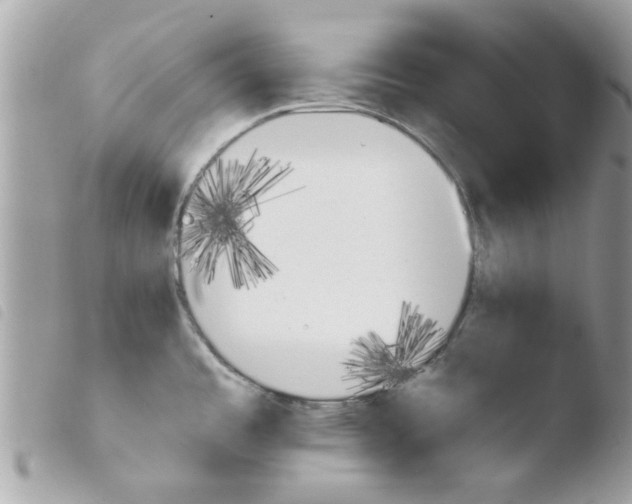 X0000103941485200810171803