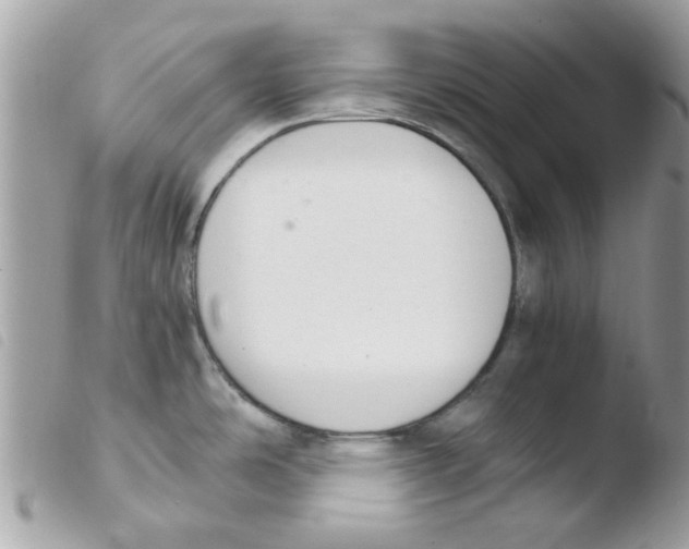 X0000103941486200810171803