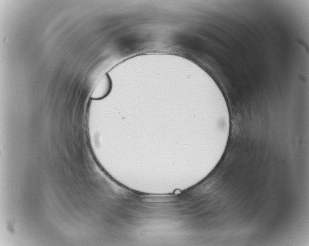 X0000103941487200810171803