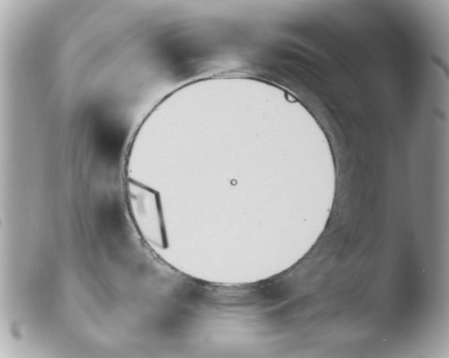 X0000103941488200810171803