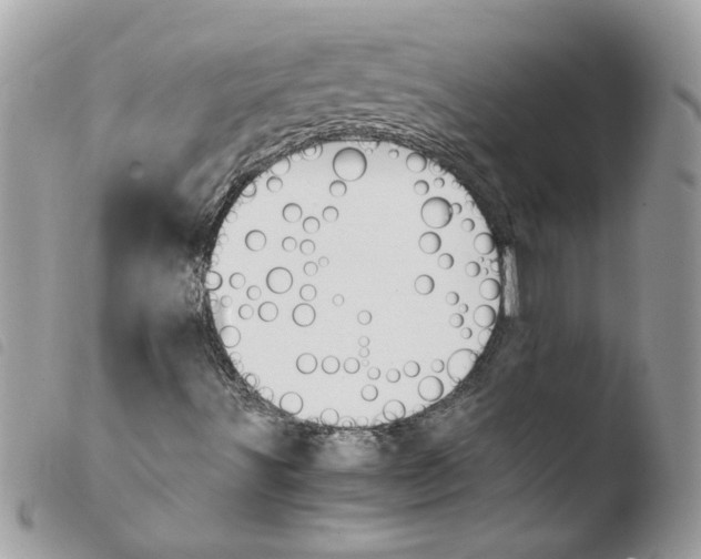 X0000103941491200810171802