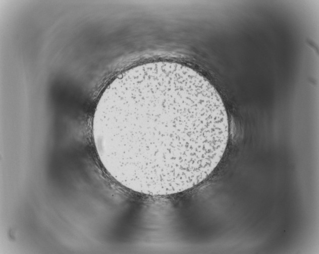 X0000103941492200810171802