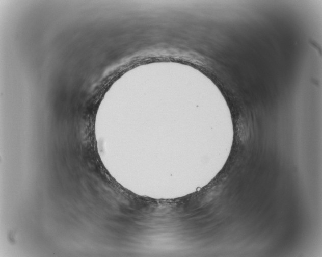 X0000103941494200810171802