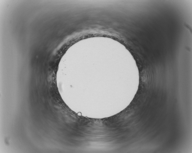 X0000103941495200810171802