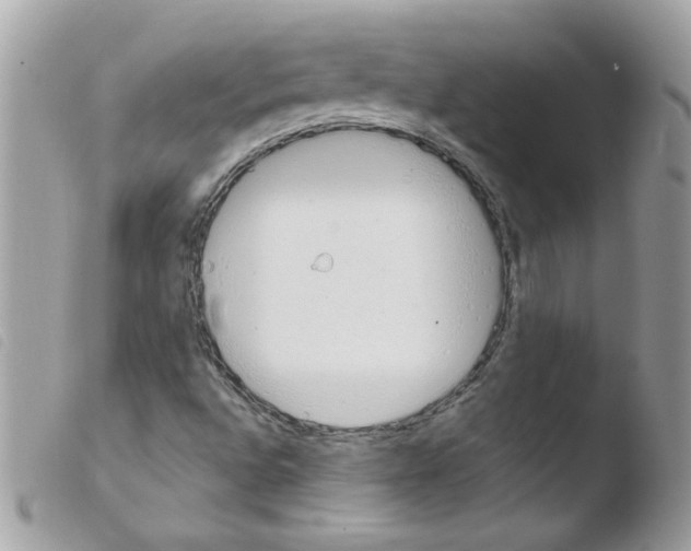 X0000103941496200810171802