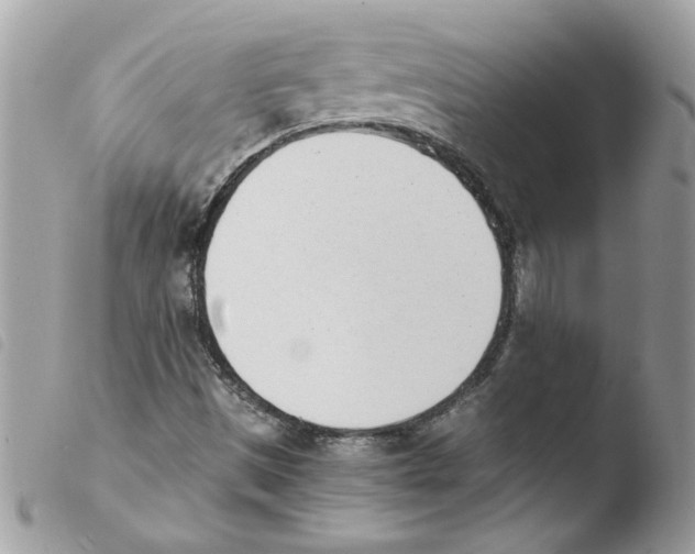 X0000103941497200810171802