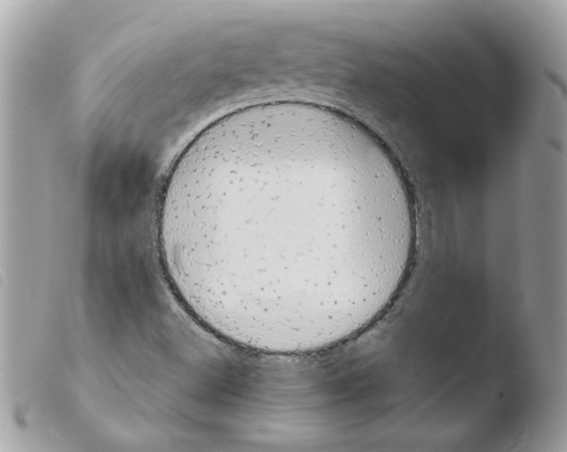 X0000103941500200810171803