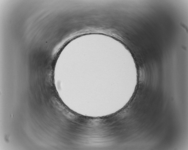 X0000103941502200810171803