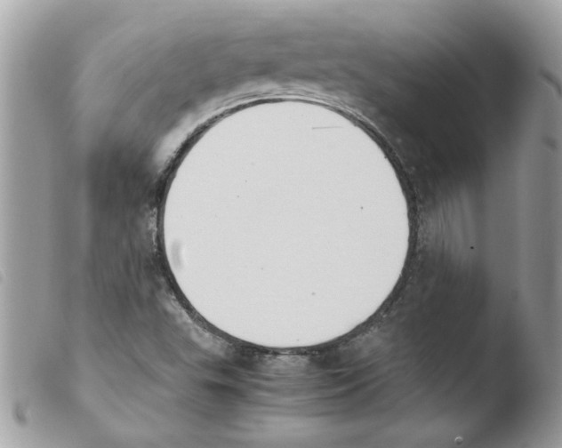 X0000103941503200810171803