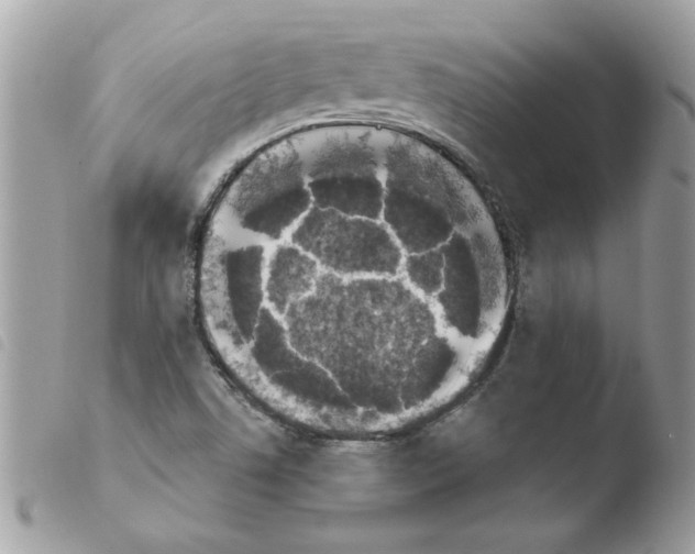 X0000103941506200810171803