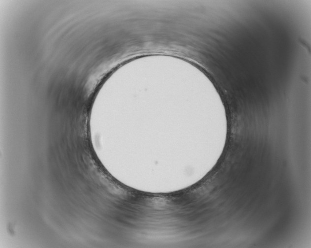 X0000103941507200810171803