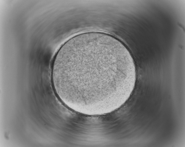 X0000103941508200810171803