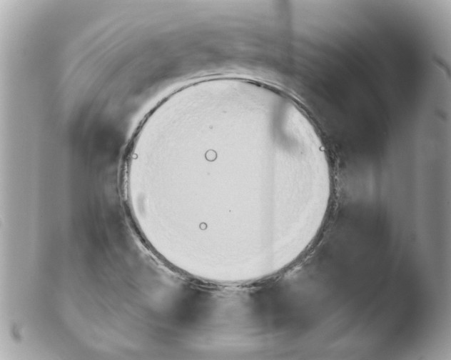 X0000103941510200810171803