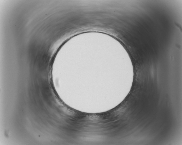 X0000103941511200810171803