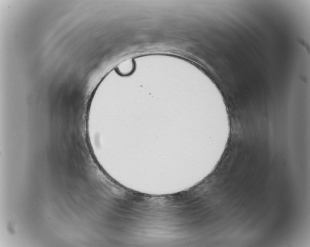 X0000103941512200810171803