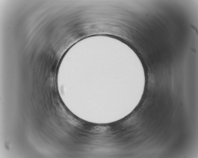 X0000103941513200810171803