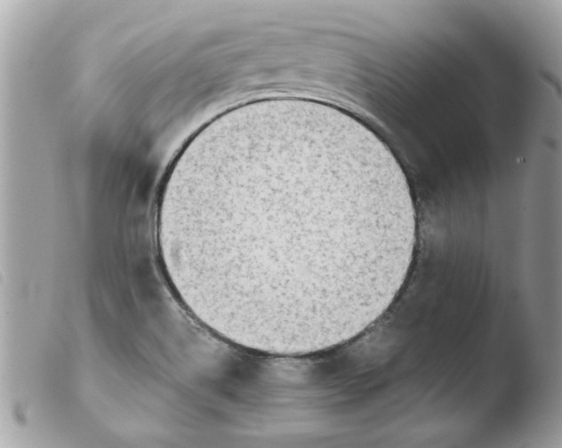 X0000103941514200810171803