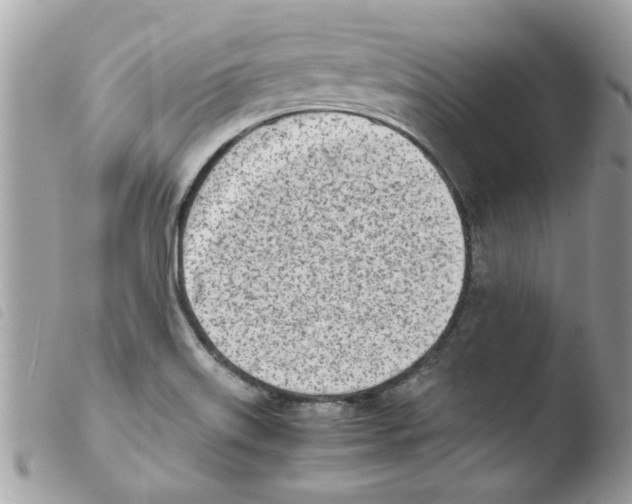 X0000103941515200810171803