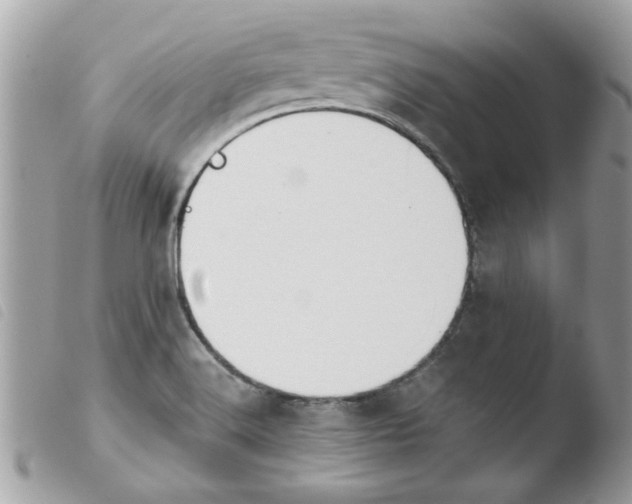 X0000103941516200810171803