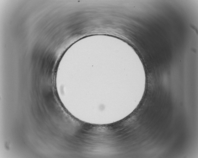 X0000103941517200810171803