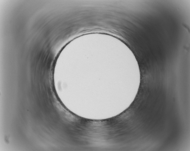 X0000103941518200810171803