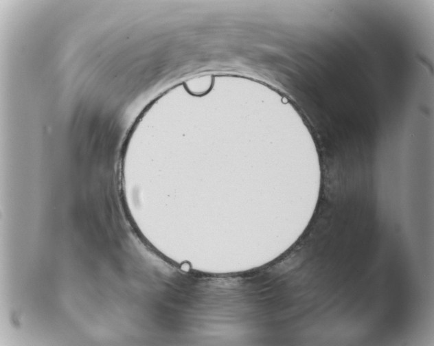 X0000103941519200810171803