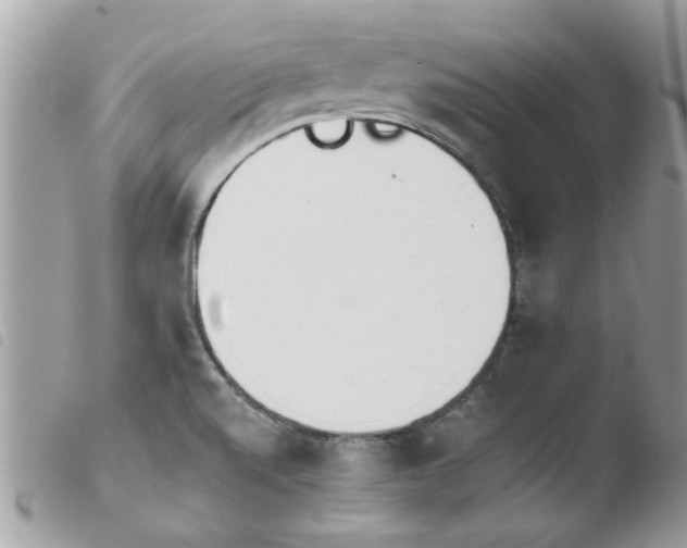 X0000103941520200810171803