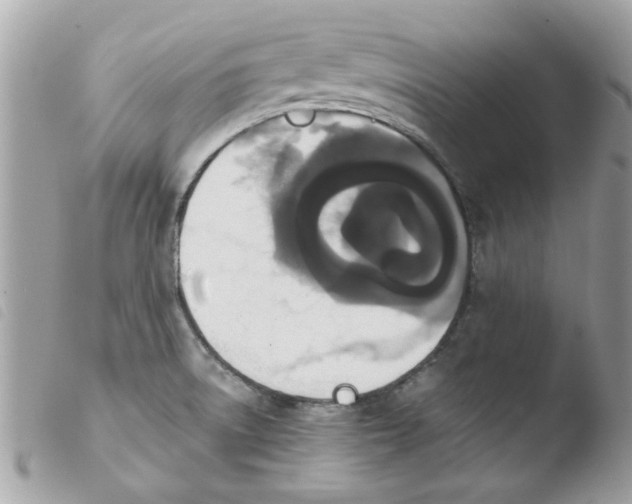 X0000103941522200810171803