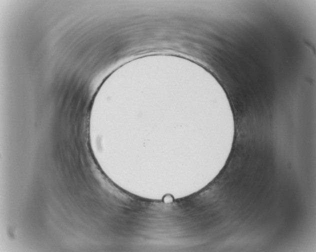 X0000103941526200810171803