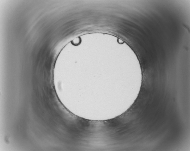 X0000103941528200810171803