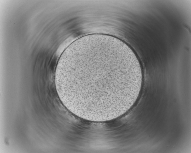 X0000103941529200810171803