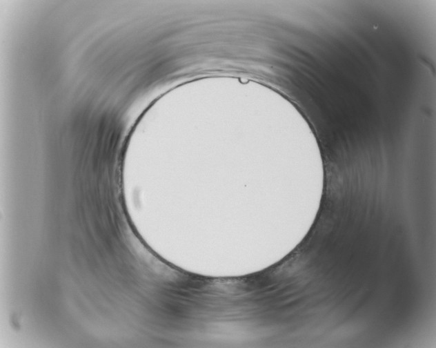 X0000103941531200810171803