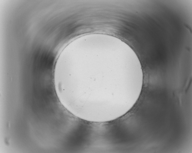 X0000103941532200810171803