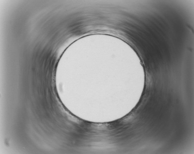 X0000103941533200810171803