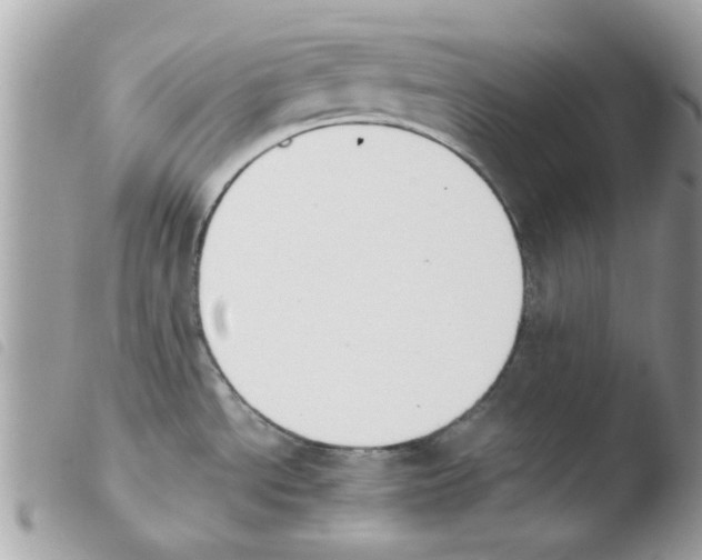 X0000103941534200810171803