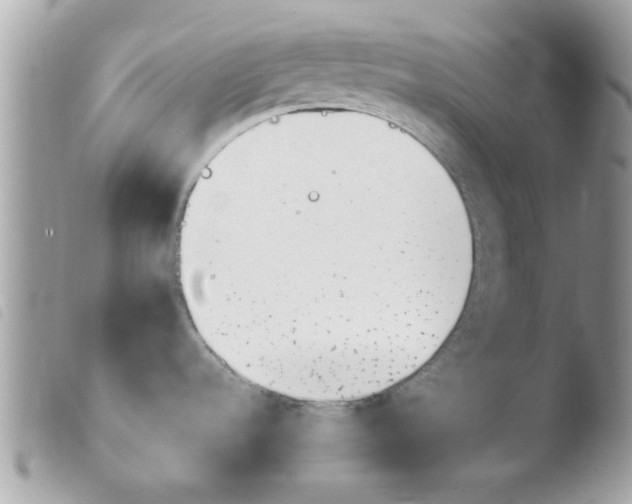 X0000103941536200810171803