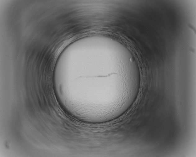 X0000103940003200810311536