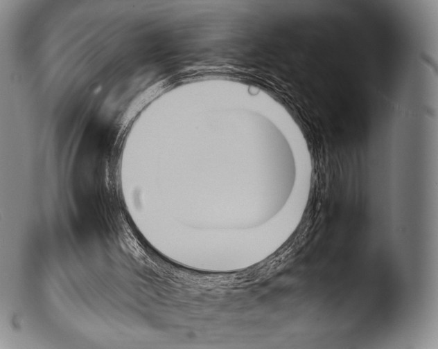 X0000103940004200810311536