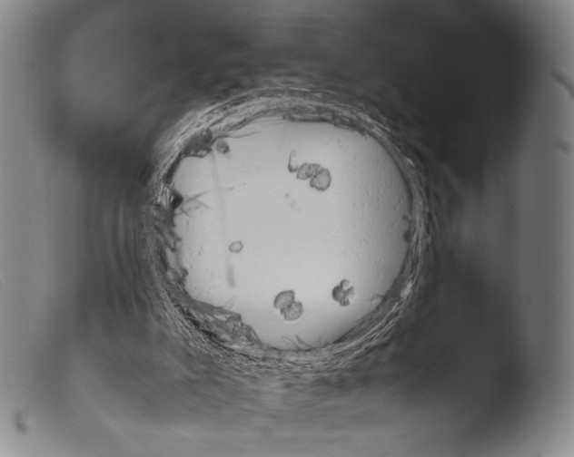 X0000103940007200810311536