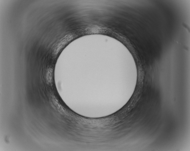 X0000103940010200810311536