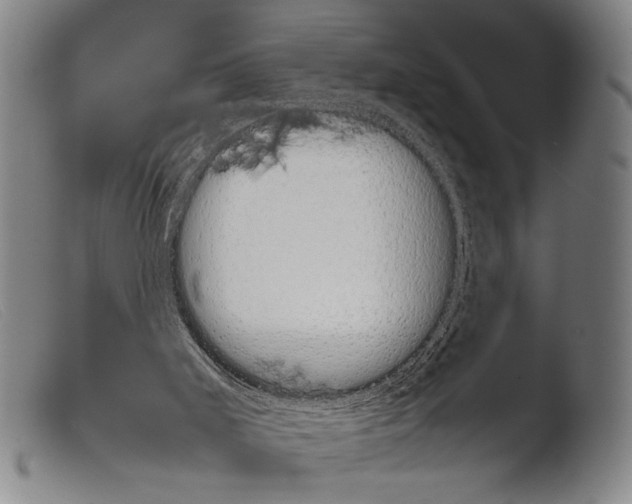 X0000103940011200810311536