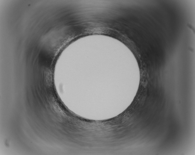 X0000103940012200810311536