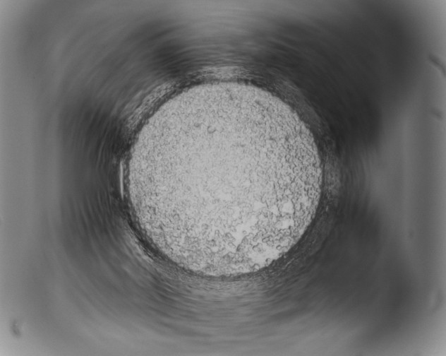 X0000103940014200810311536