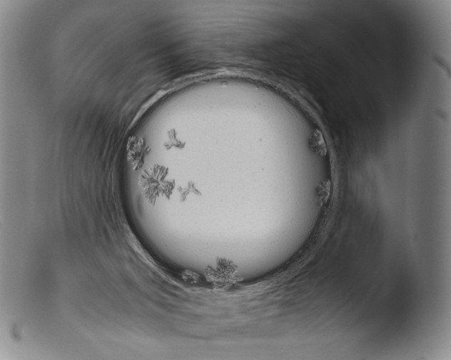 X0000103940015200810311536