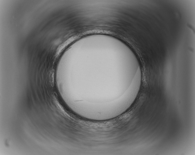 X0000103940016200810311536