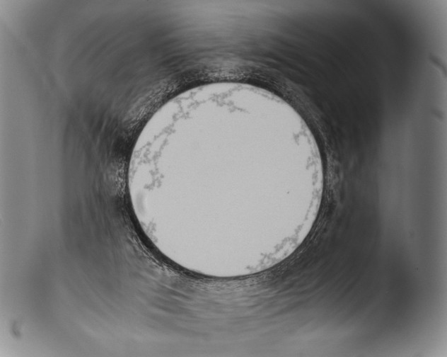 X0000103940017200810311536