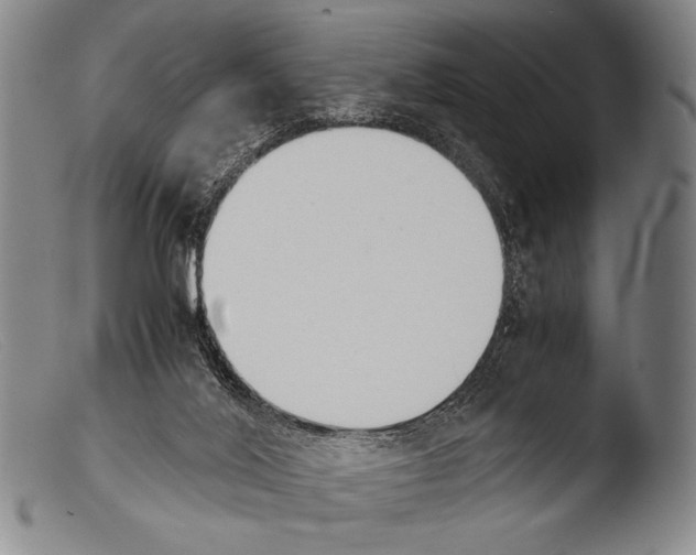 X0000103940020200810311536