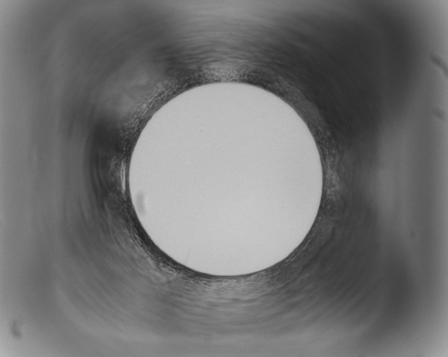 X0000103940021200810311536