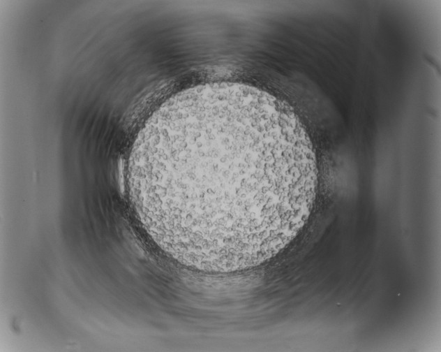 X0000103940022200810311536