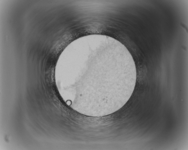 X0000103940023200810311536